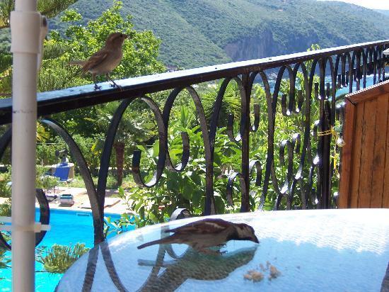 بارغا Bella Vista Hotel And Apartments المظهر الخارجي الصورة