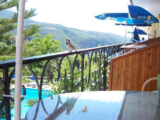 بارغا Bella Vista Hotel And Apartments المظهر الخارجي الصورة